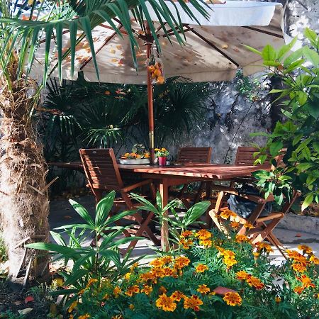 Palmera موستار المظهر الخارجي الصورة