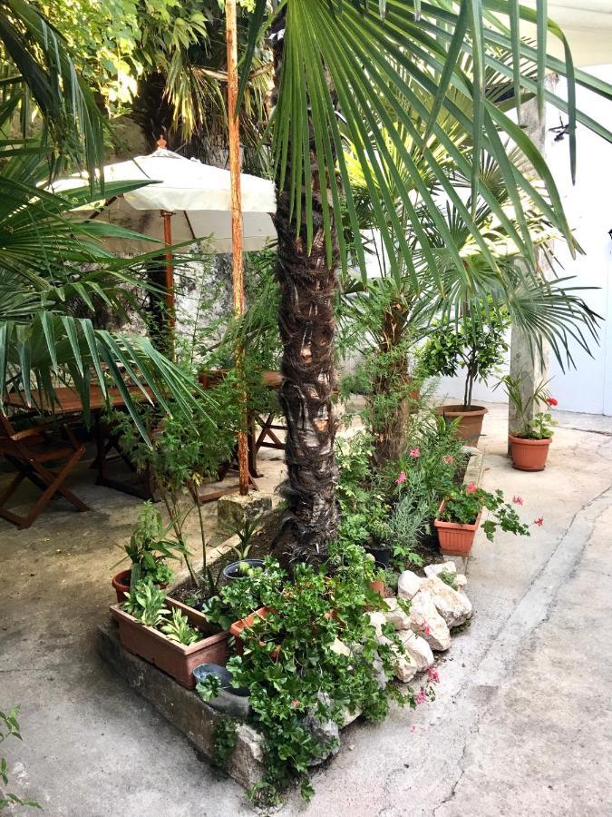 Palmera موستار المظهر الخارجي الصورة