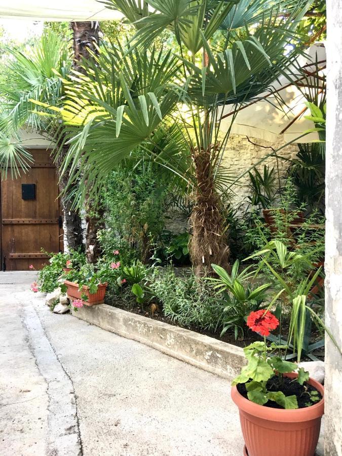 Palmera موستار المظهر الخارجي الصورة