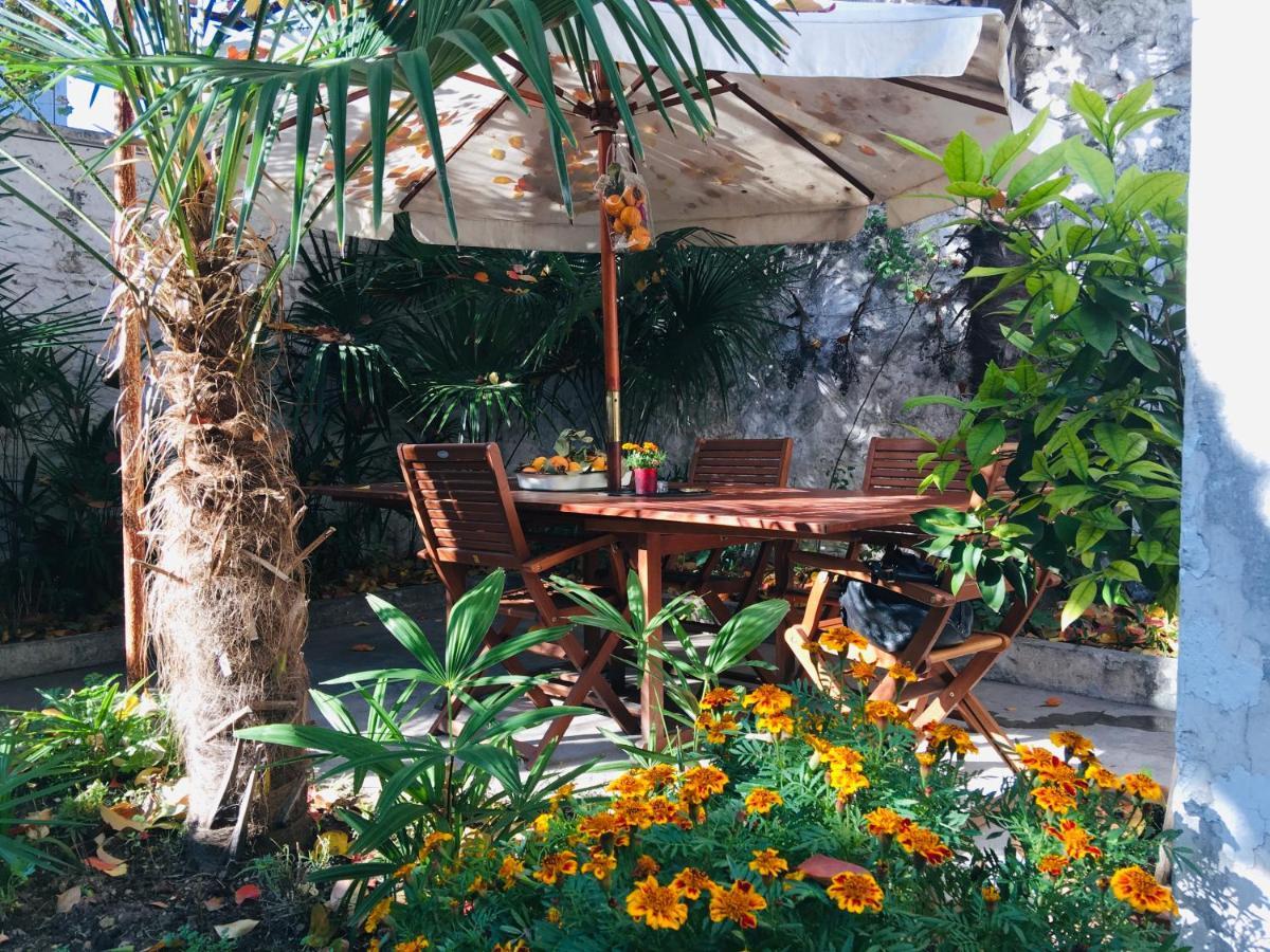 Palmera موستار المظهر الخارجي الصورة