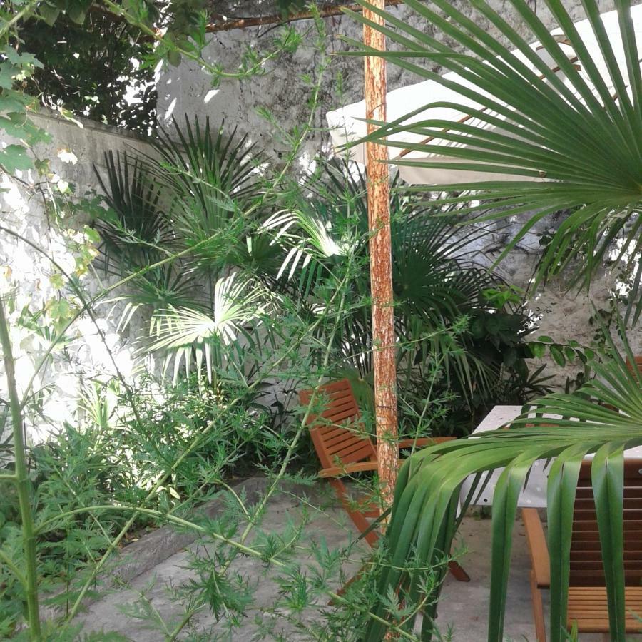 Palmera موستار المظهر الخارجي الصورة