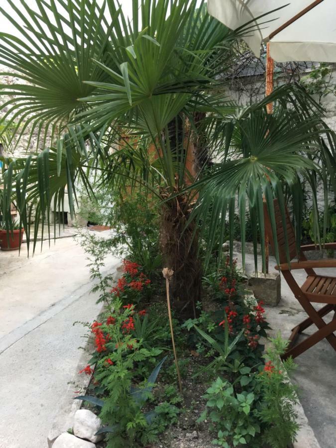 Palmera موستار المظهر الخارجي الصورة