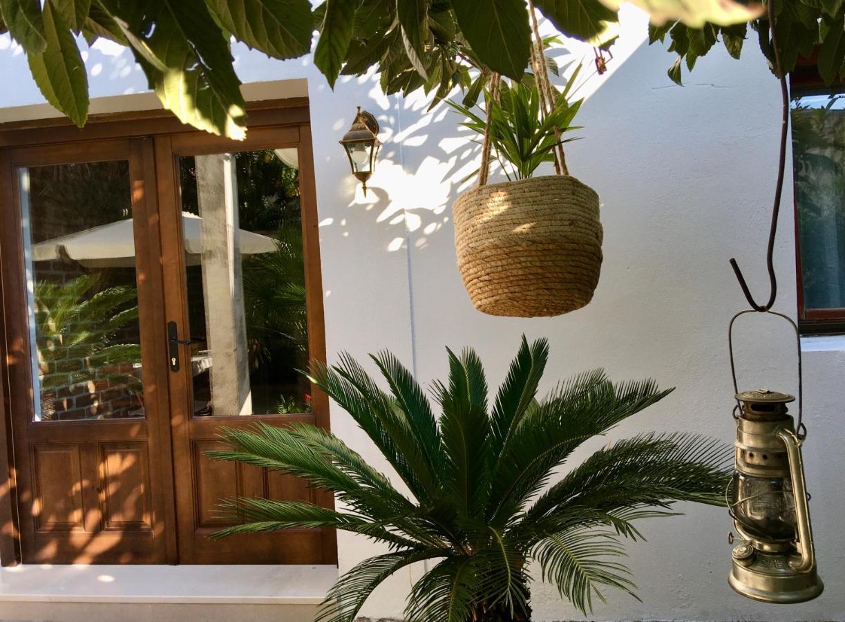 Palmera موستار المظهر الخارجي الصورة