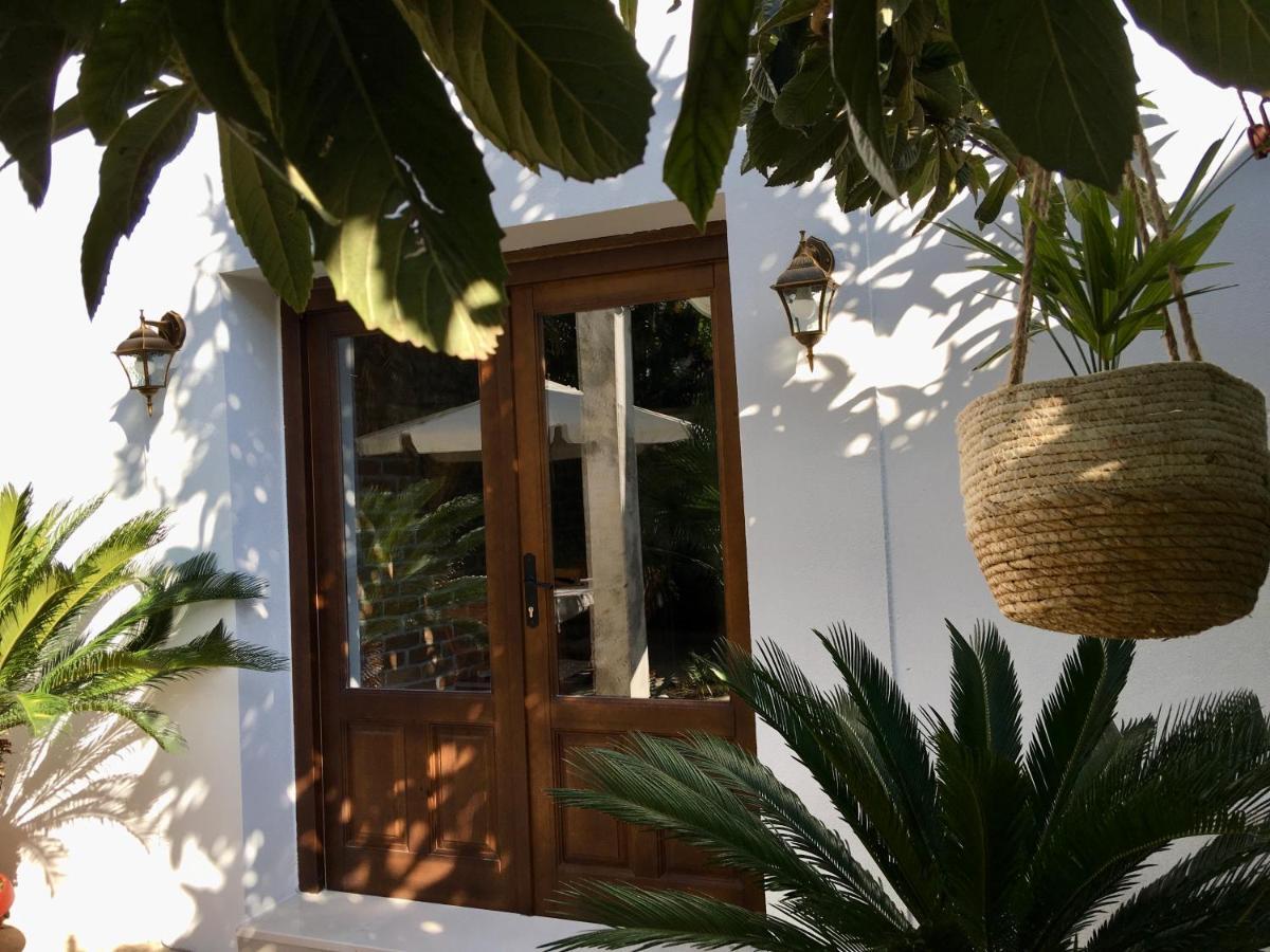 Palmera موستار المظهر الخارجي الصورة