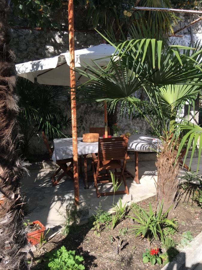 Palmera موستار المظهر الخارجي الصورة
