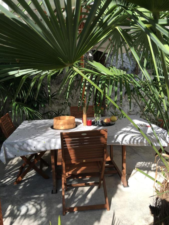 Palmera موستار المظهر الخارجي الصورة
