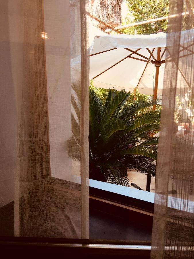 Palmera موستار المظهر الخارجي الصورة
