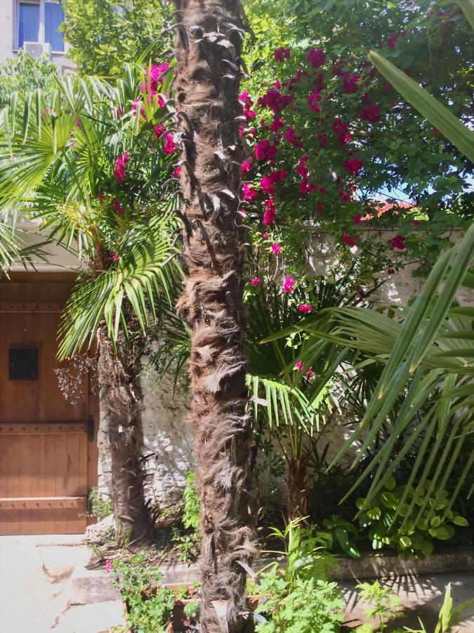 Palmera موستار المظهر الخارجي الصورة